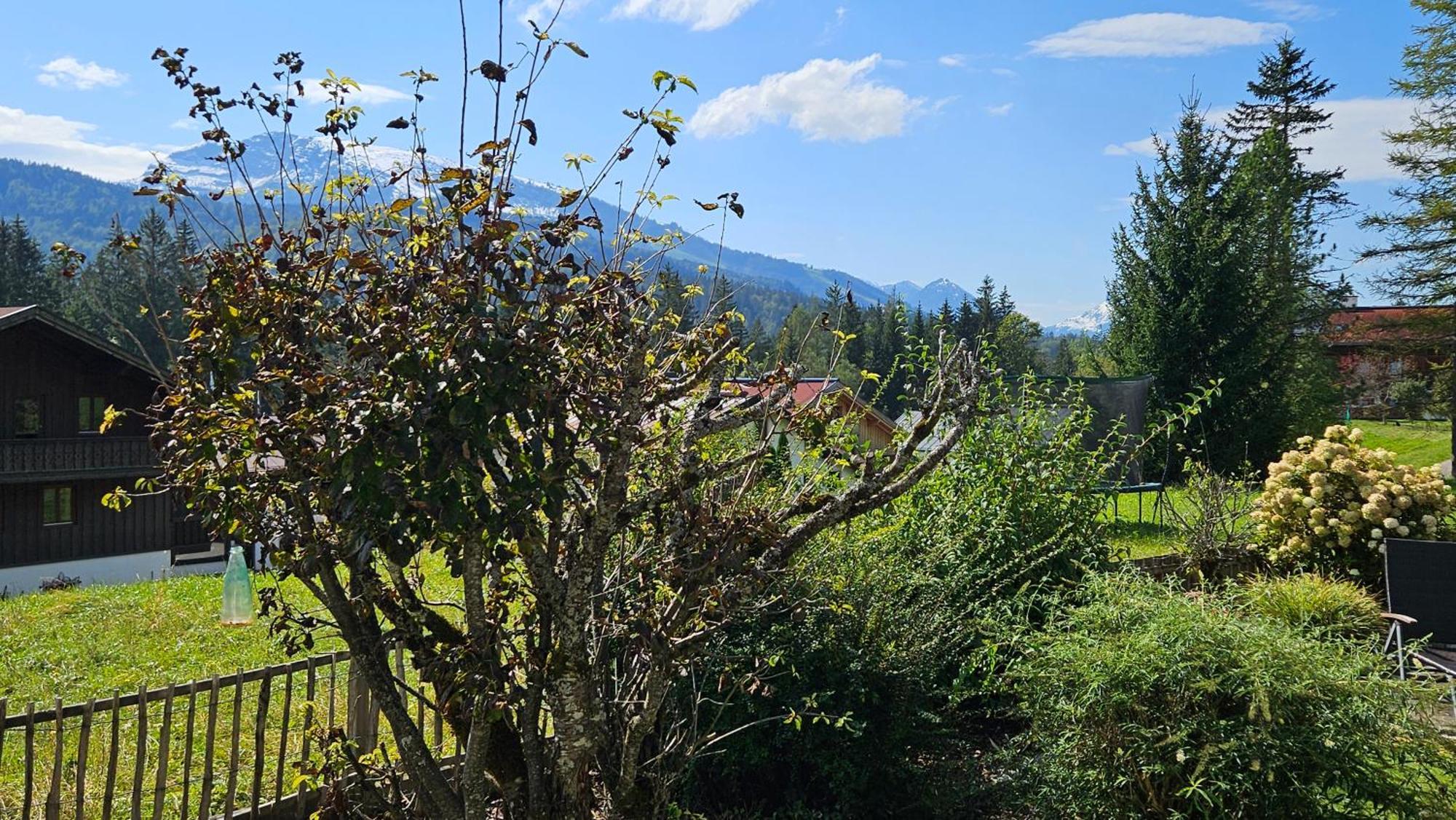 Chalet Weitsee 雷特温克尔 外观 照片